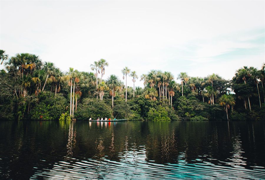 Small boat on a still tropical river lined with palm trees
